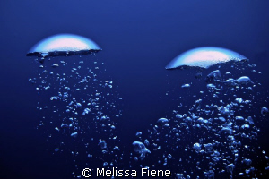 diver's bubbles by Melissa Fiene 